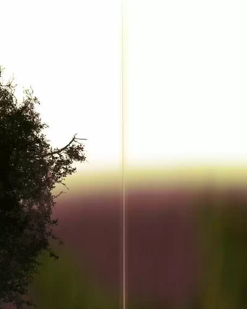 My Dear Cold-Blooded King ch.139