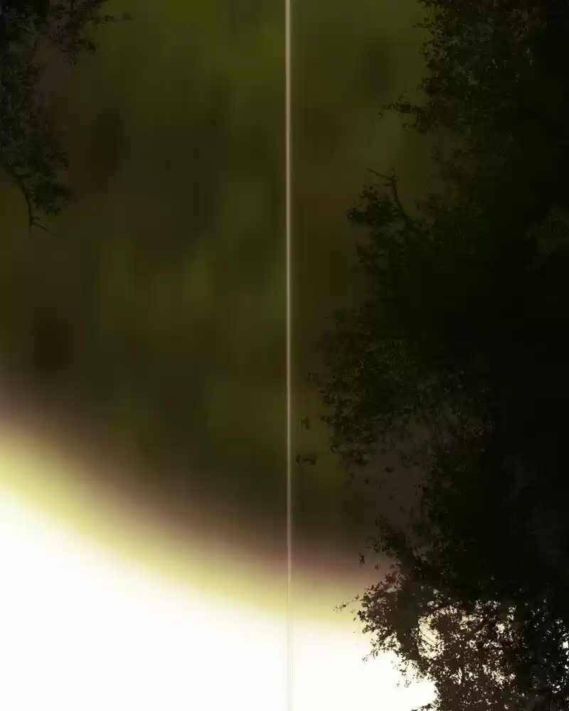 My Dear Cold-Blooded King ch.139