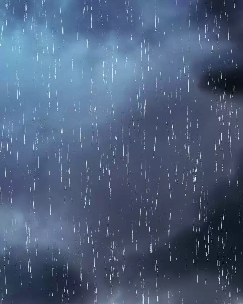 My Dear Cold-Blooded King ch.160