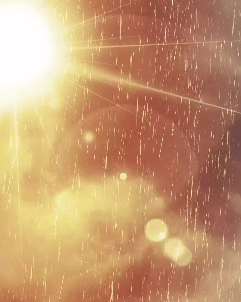 My Dear Cold-Blooded King ch.162