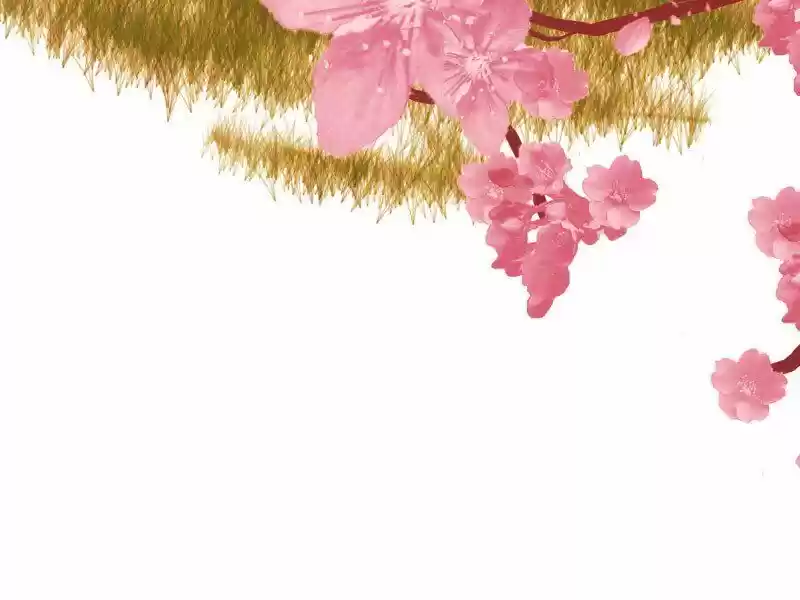 My Dear Cold-Blooded King ch.163