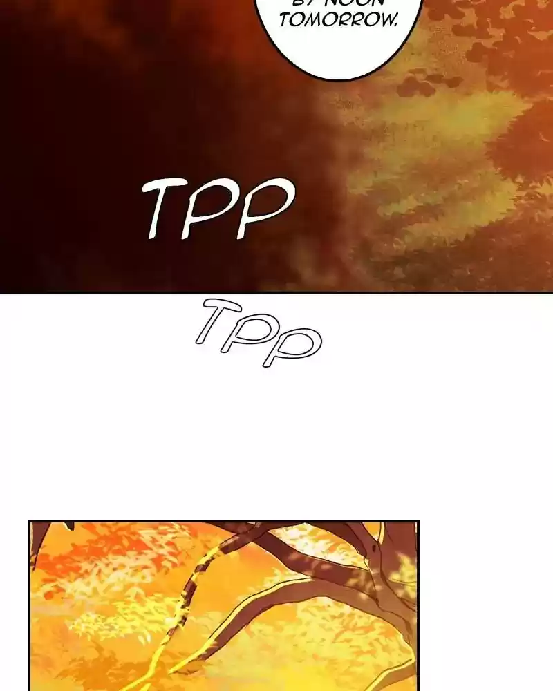 My Dear Cold-Blooded King Chapter 102: