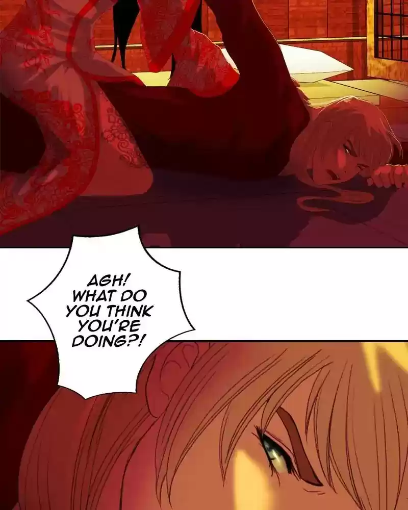 My Dear Cold-Blooded King Chapter 104: