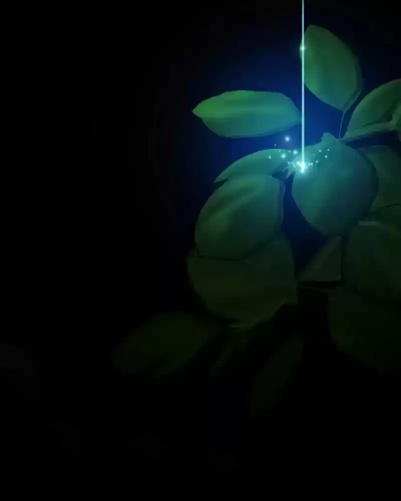 My Dear Cold-Blooded King Chapter 111: