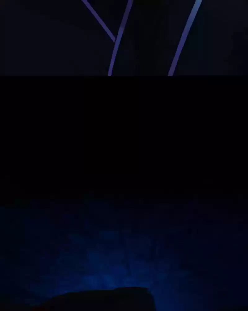 My Dear Cold-Blooded King Chapter 116: