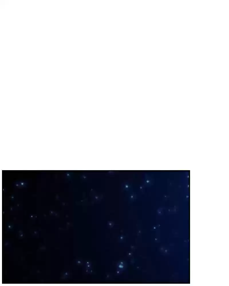 My Dear Cold-Blooded King Chapter 117: