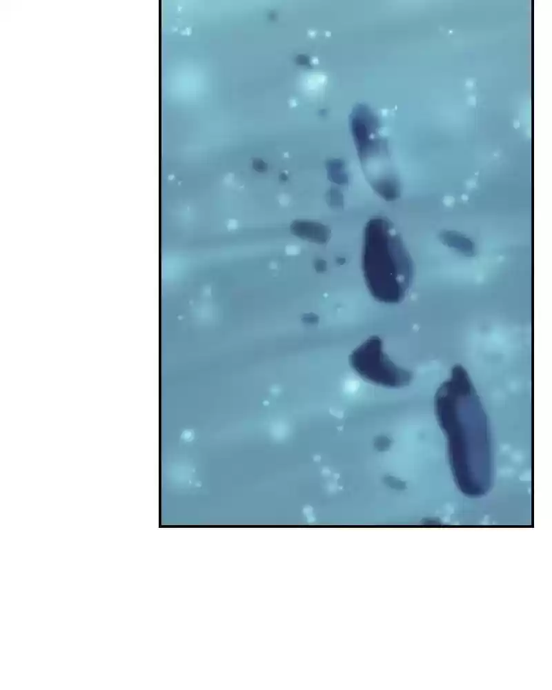 My Dear Cold-Blooded King Chapter 119: