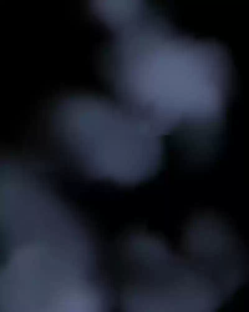 My Dear Cold-Blooded King Chapter 124: