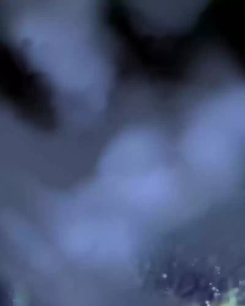 My Dear Cold-Blooded King Chapter 124: