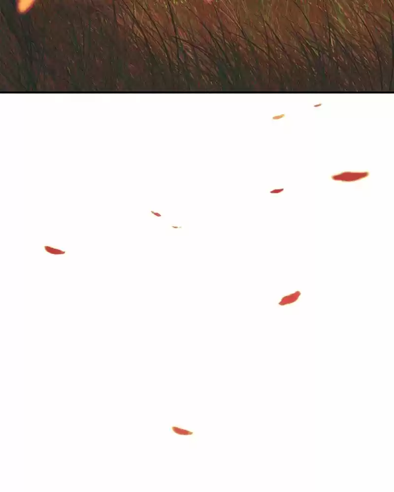 My Dear Cold-Blooded King Chapter 132