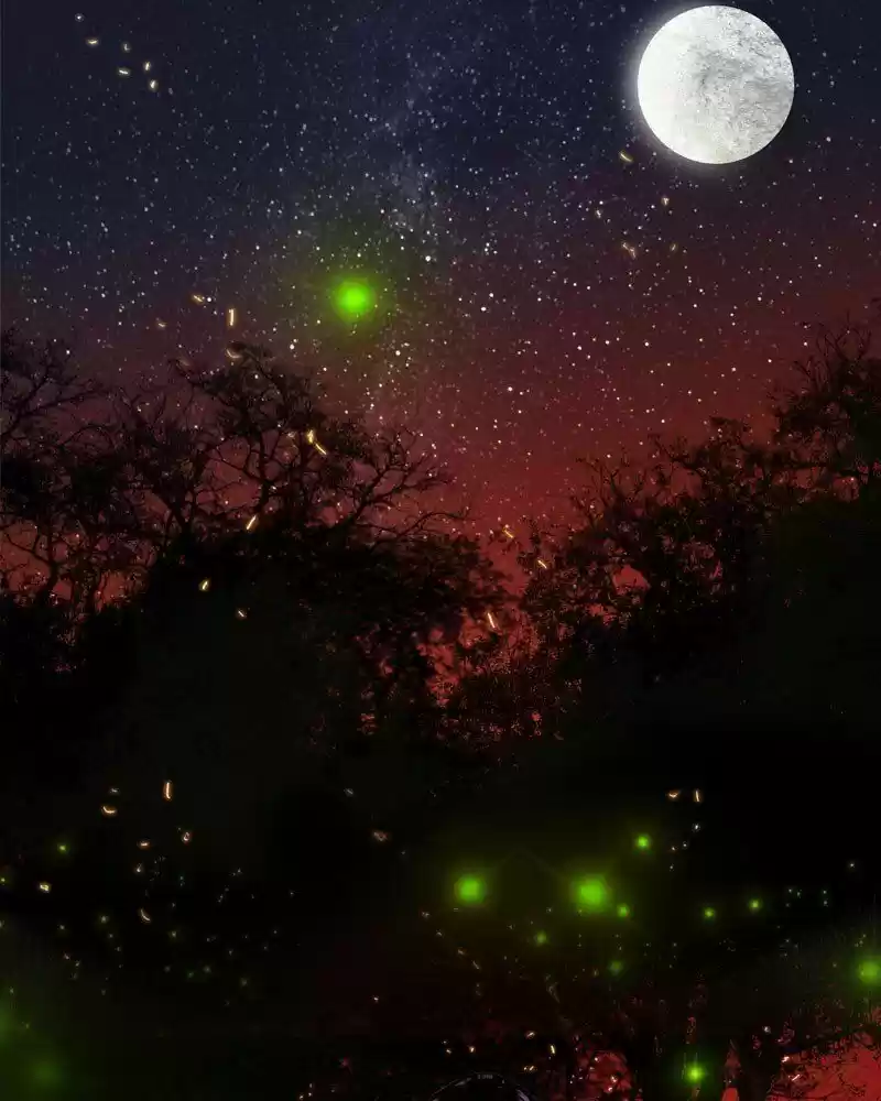 My Dear Cold-Blooded King Chapter 148