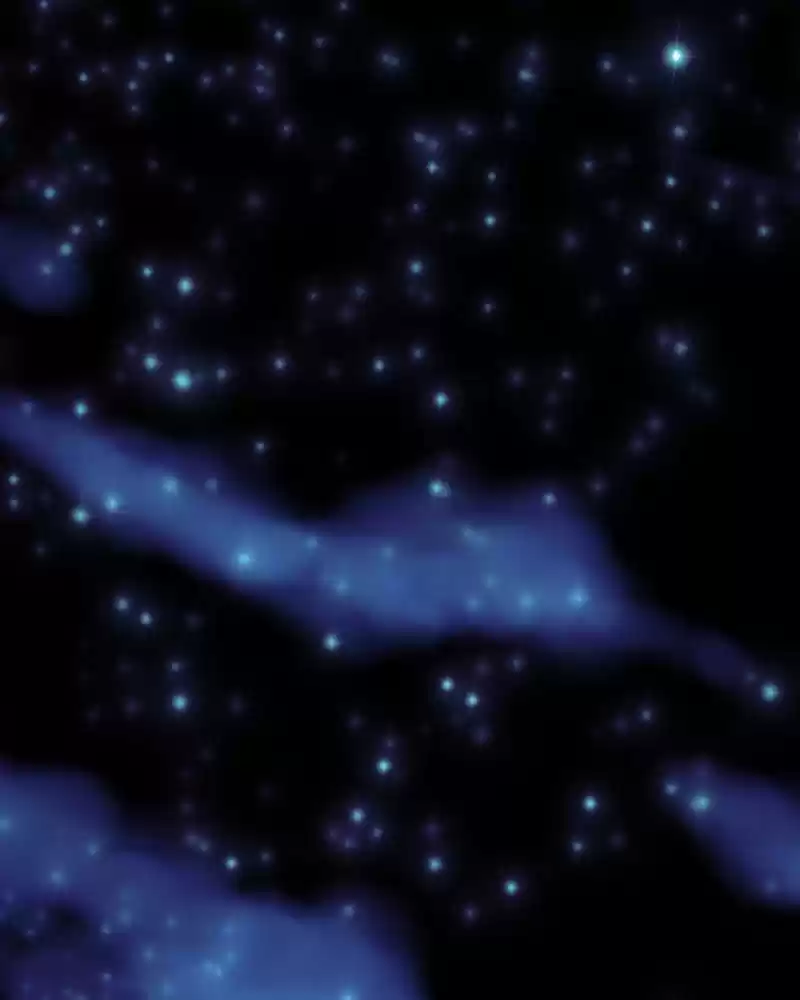 My Dear Cold-Blooded King Chapter 157