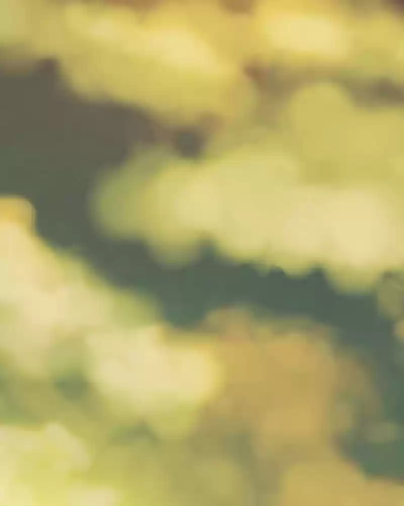 My Dear Cold-Blooded King Chapter 157