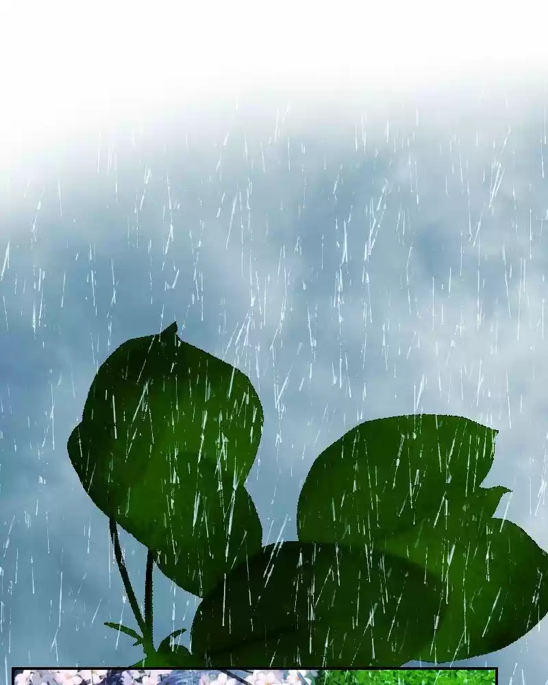 My Dear Cold-Blooded King Chapter 161