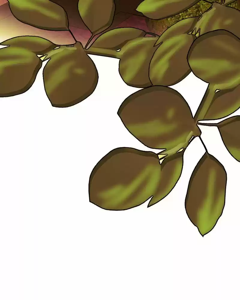 My Dear Cold-Blooded King Chapter 165