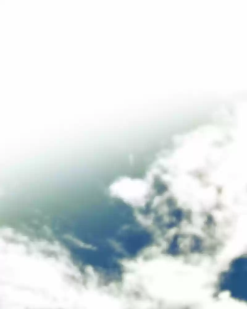 My Dear Cold-Blooded King Chapter 167