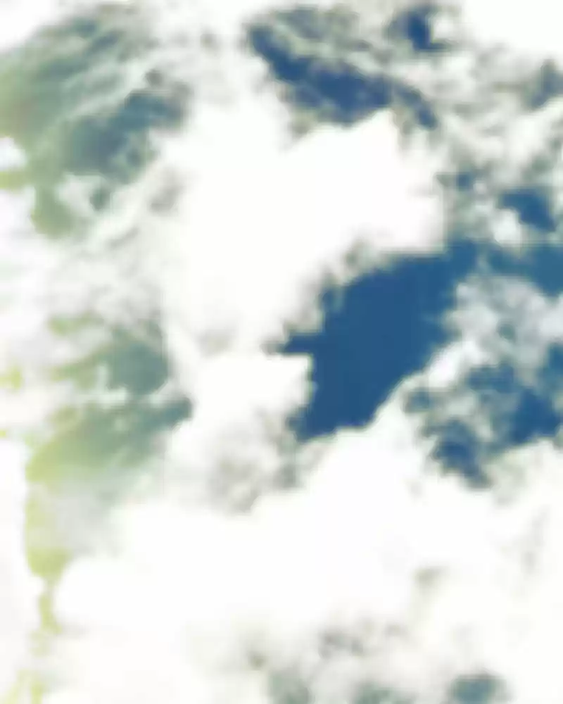 My Dear Cold-Blooded King Chapter 167