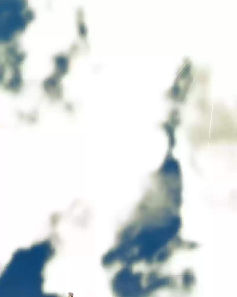 My Dear Cold-Blooded King Chapter 169