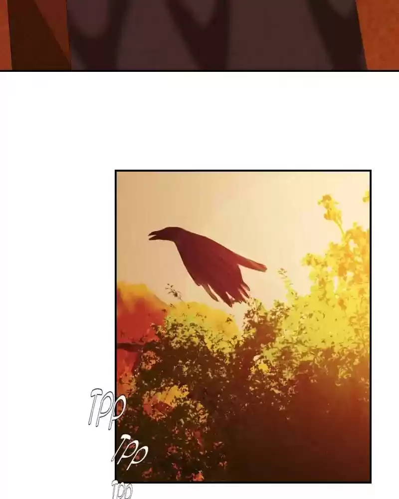 My Dear Cold-Blooded King Chapter 89: