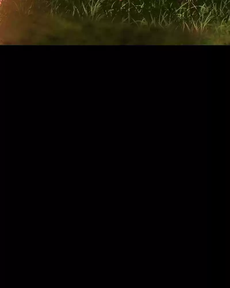 My Dear Cold-Blooded King Chapter 89: