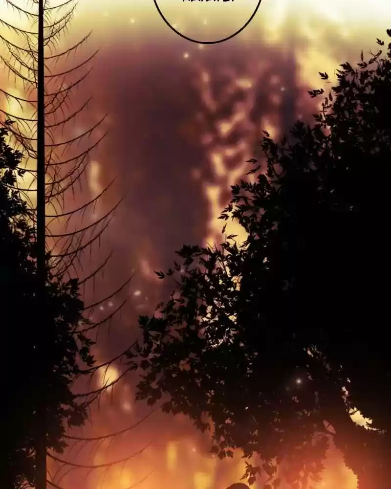 My Dear Cold-Blooded King Chapter 93: