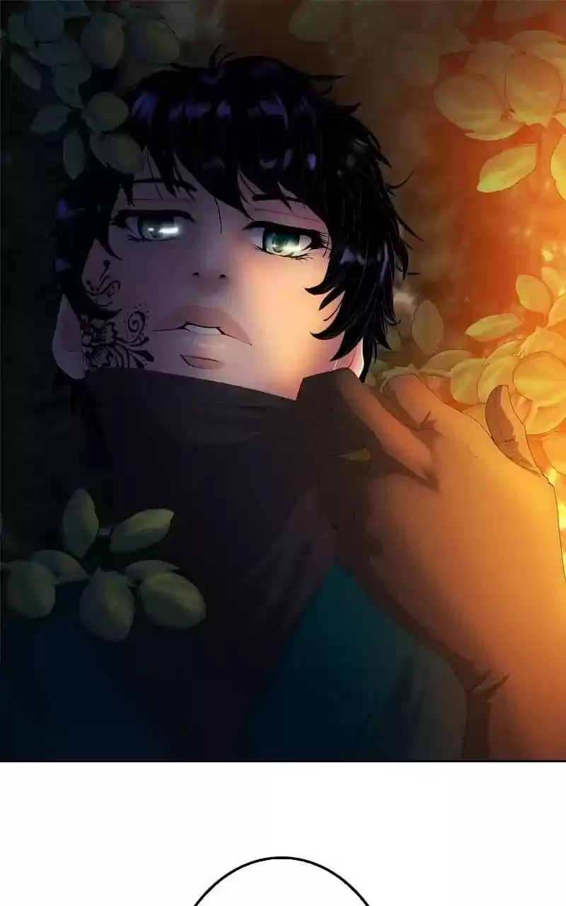 My Dear Cold-Blooded King Chapter 94: