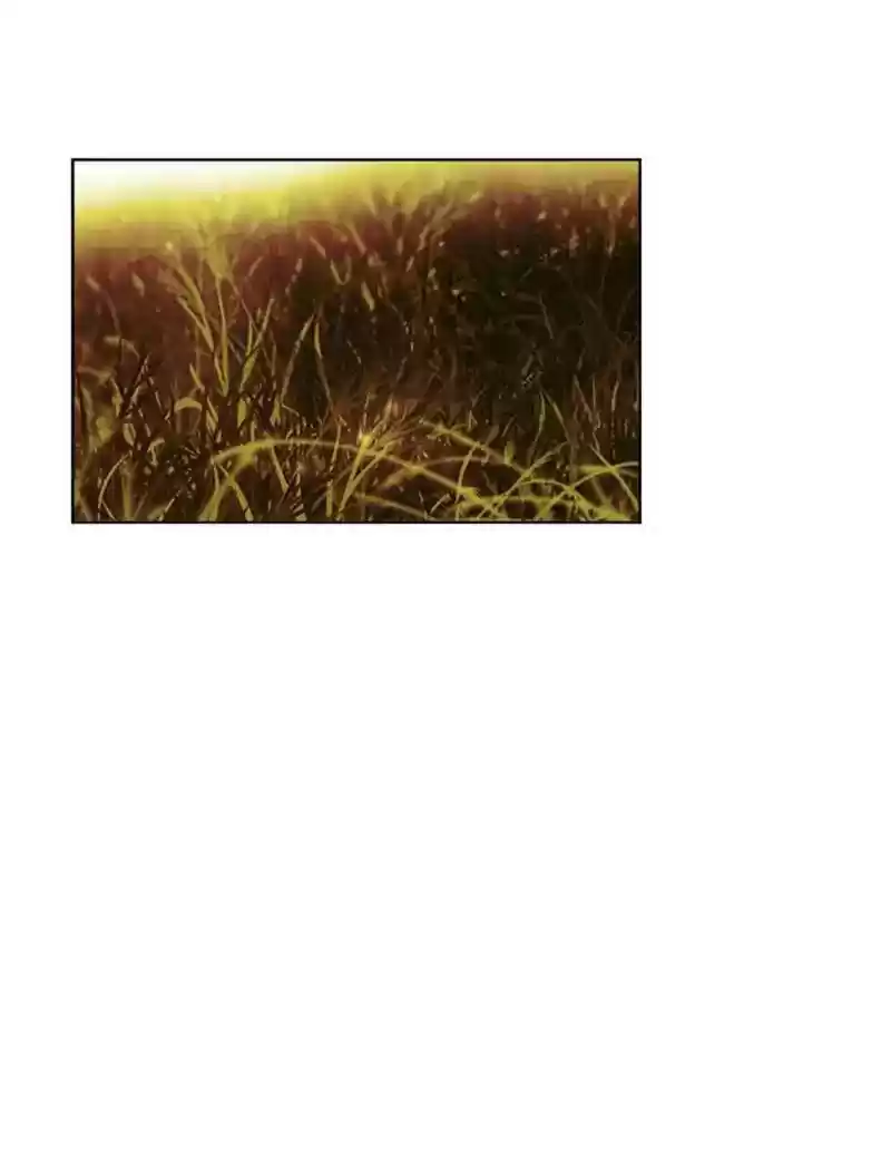 My Dear Cold-Blooded King Chapter 94: