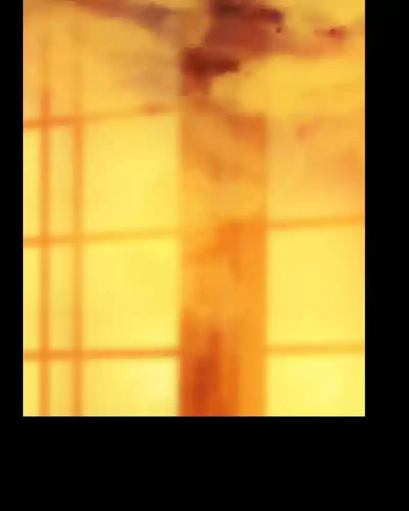 My Dear Cold-Blooded King Chapter 95: