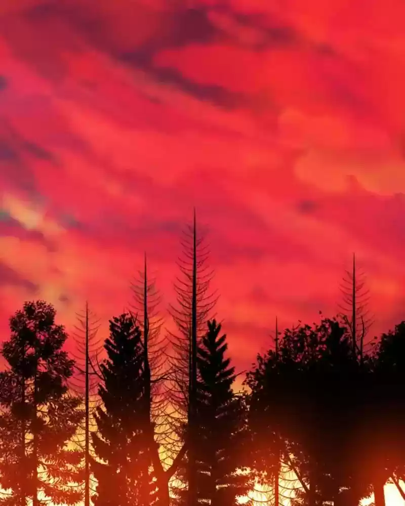 My Dear Cold-Blooded King Chapter 96: