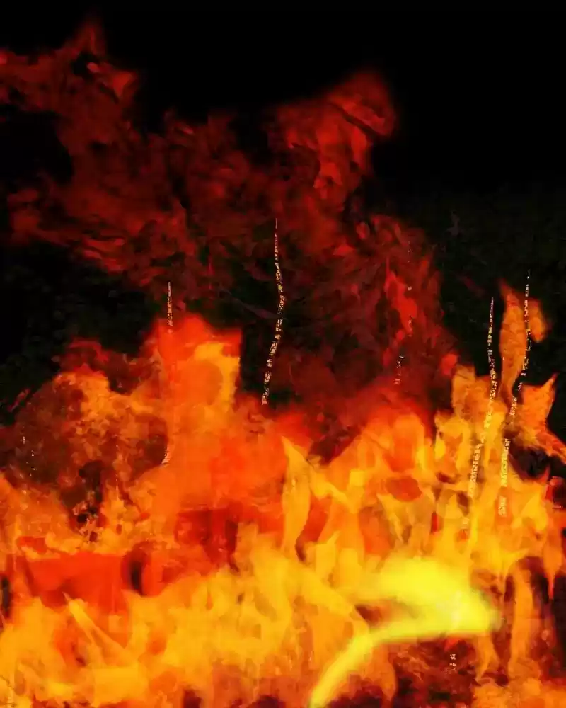 My Dear Cold-Blooded King Chapter 98: