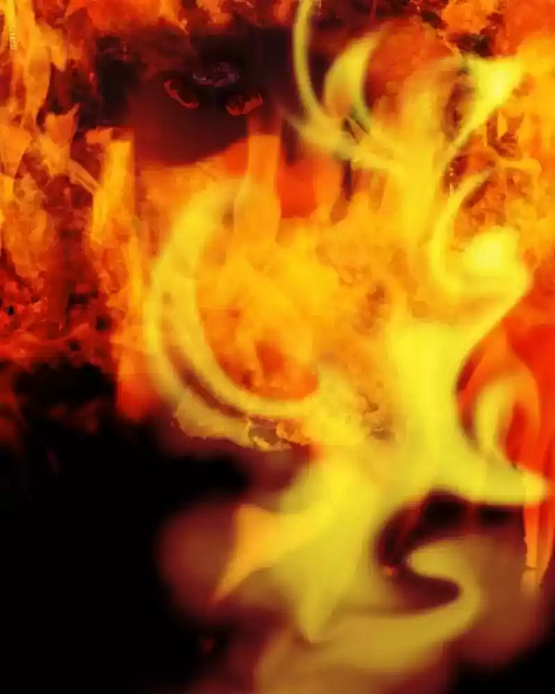 My Dear Cold-Blooded King Chapter 98: