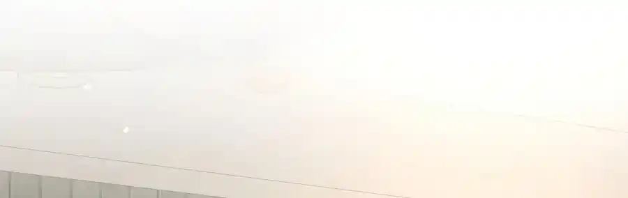 My Food Seems to Be Very Cute 128.5