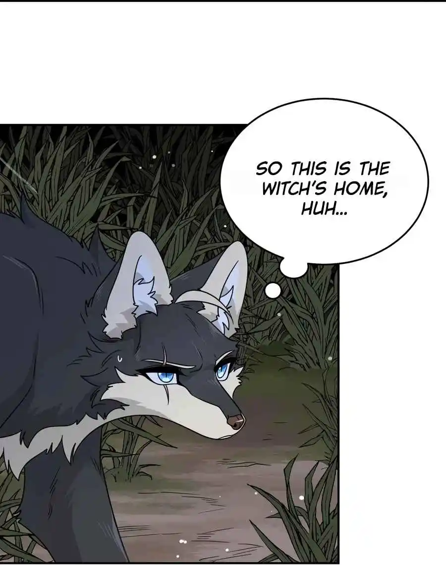 My Food Seems to Be Very Cute 128.5