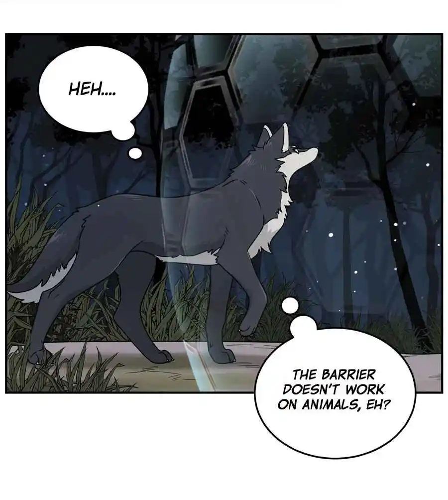 My Food Seems to Be Very Cute 128.5