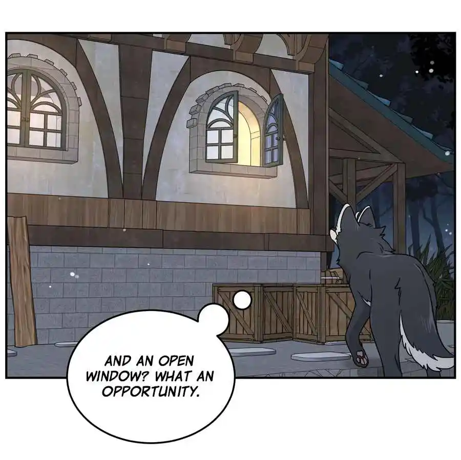 My Food Seems to Be Very Cute 128.5