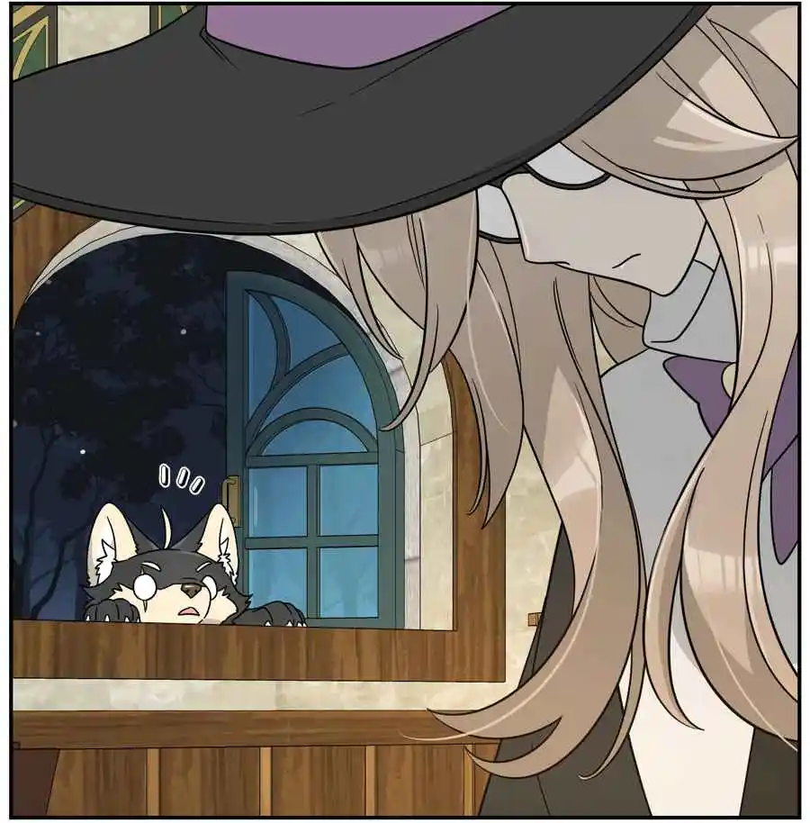 My Food Seems to Be Very Cute 128.5