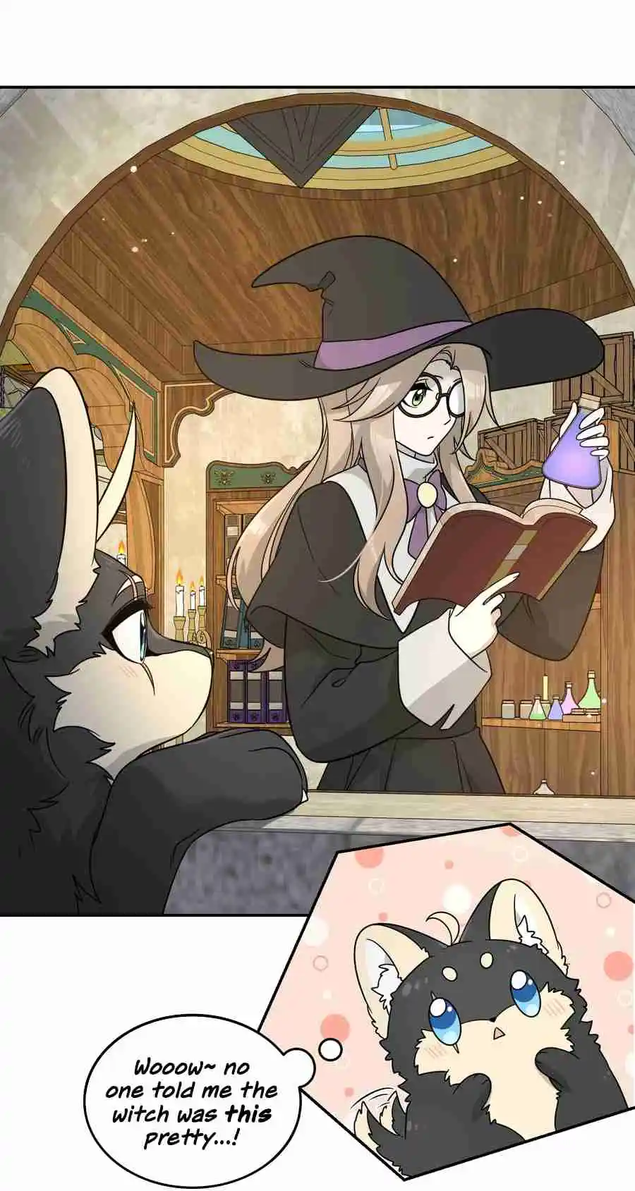 My Food Seems to Be Very Cute 128.5