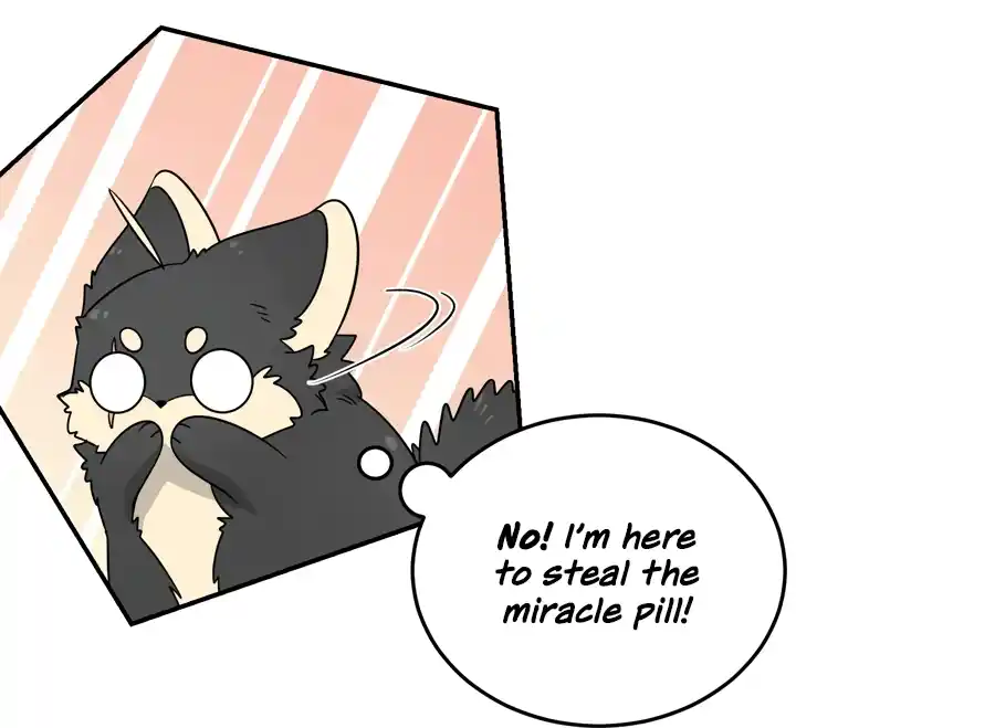 My Food Seems to Be Very Cute 128.5