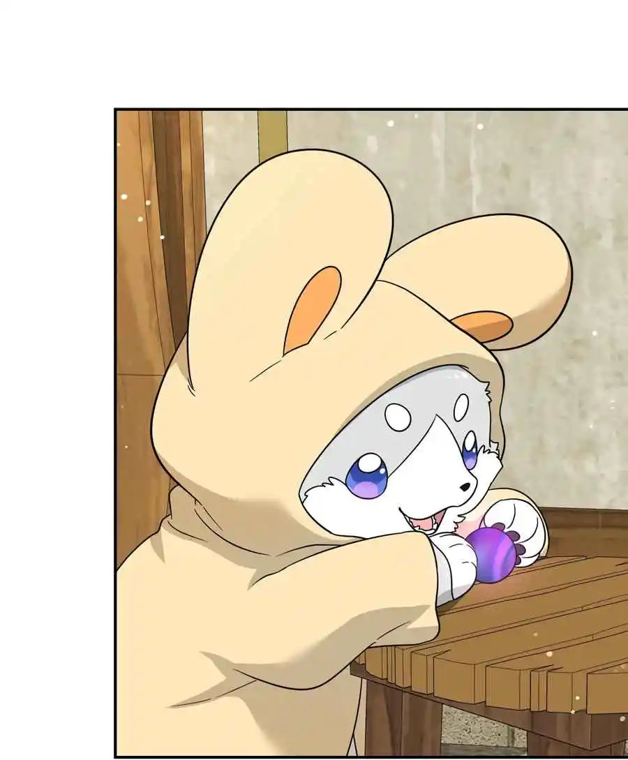 My Food Seems to Be Very Cute 128.5