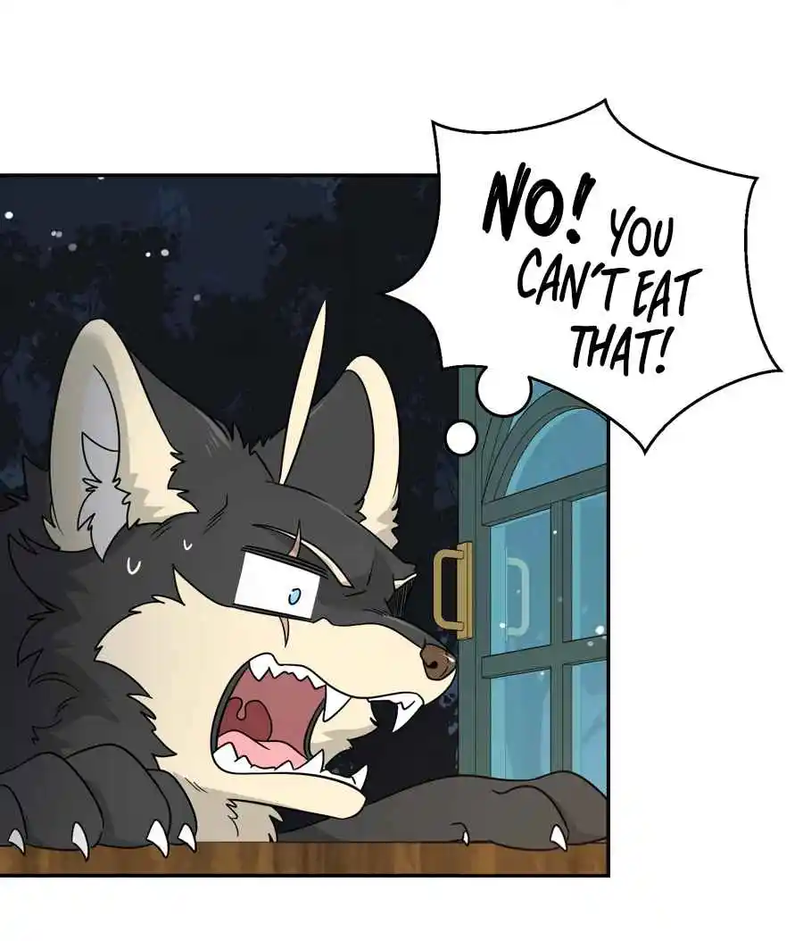 My Food Seems to Be Very Cute 128.5