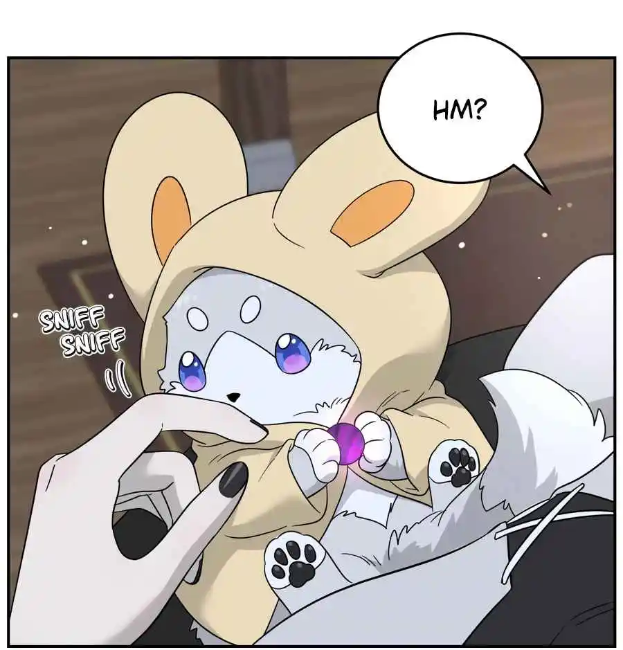 My Food Seems to Be Very Cute 128.5