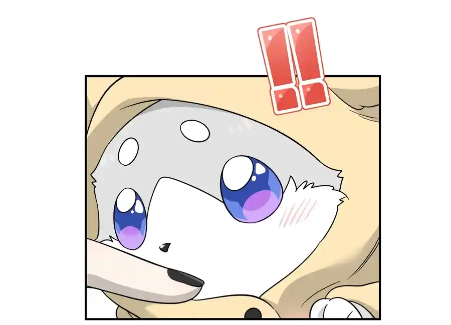 My Food Seems to Be Very Cute 128.5