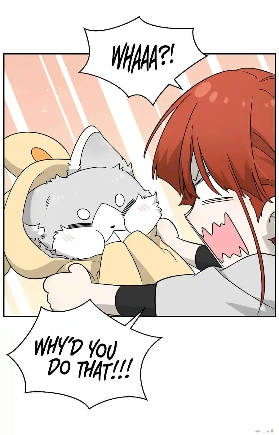 My Food Seems to Be Very Cute 128.5