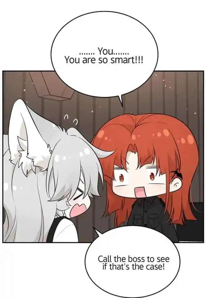 My Food Seems to Be Very Cute Ch.114