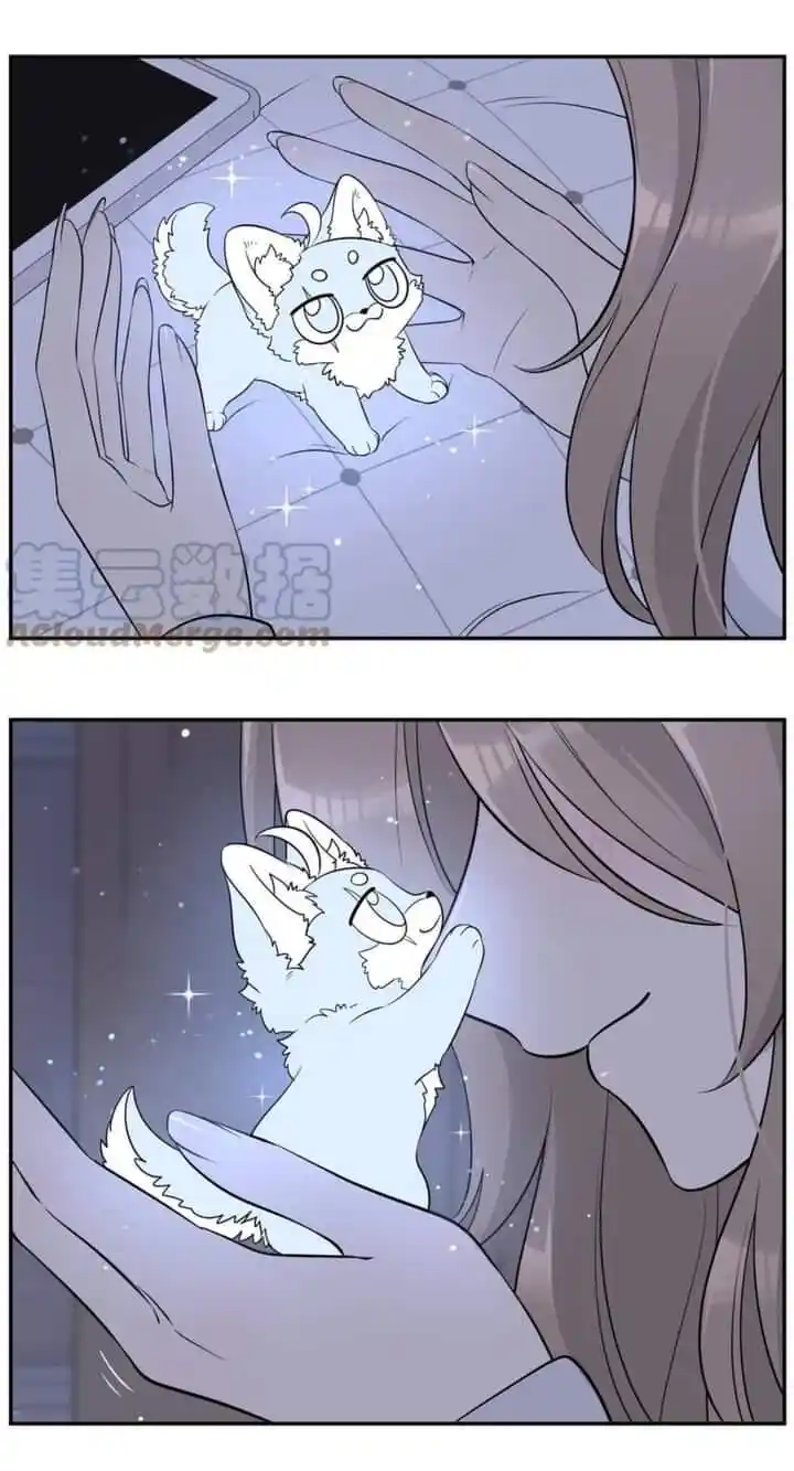 My Food Seems to Be Very Cute Ch.115