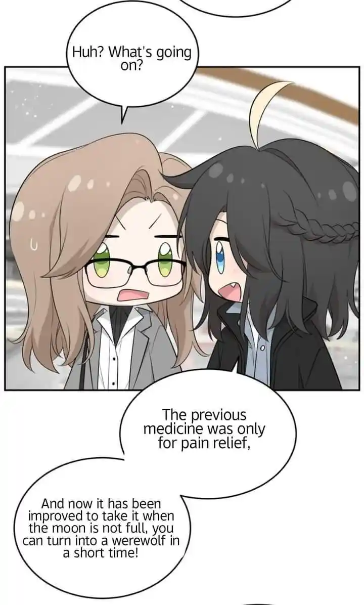 My Food Seems to Be Very Cute Ch.116