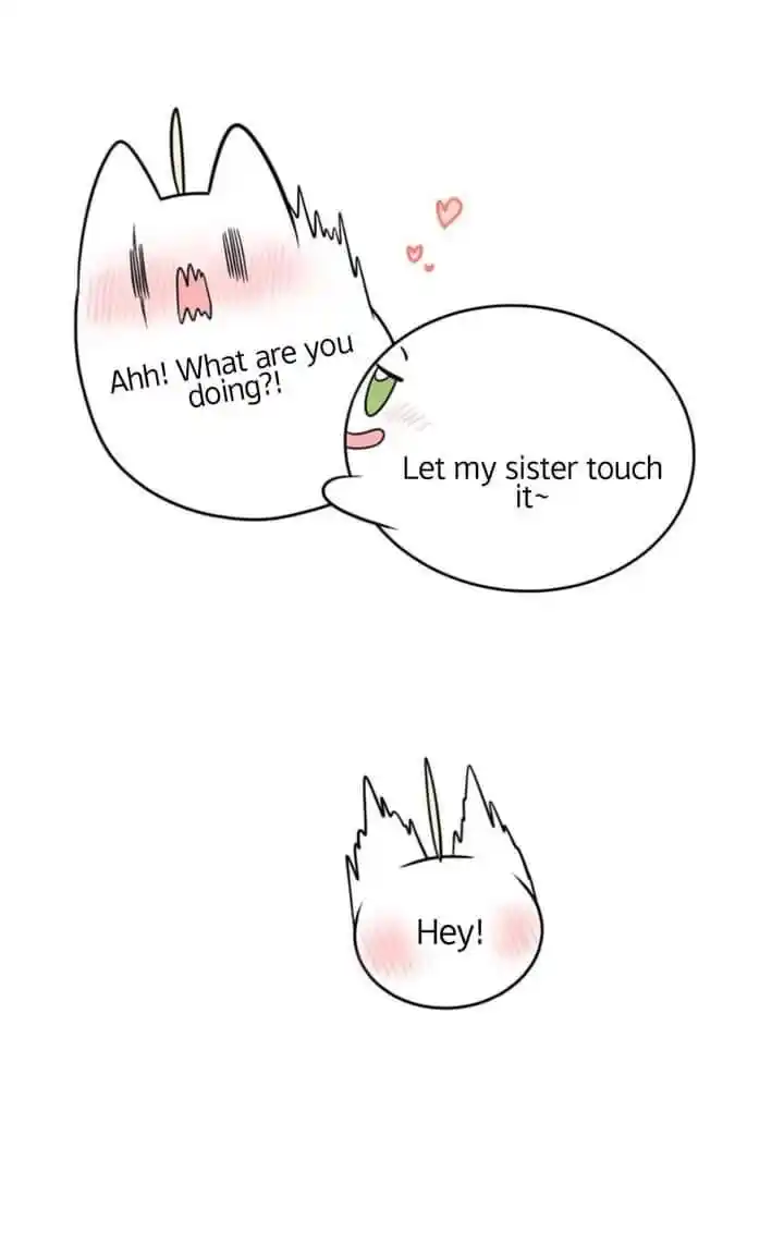 My Food Seems to Be Very Cute Ch.116