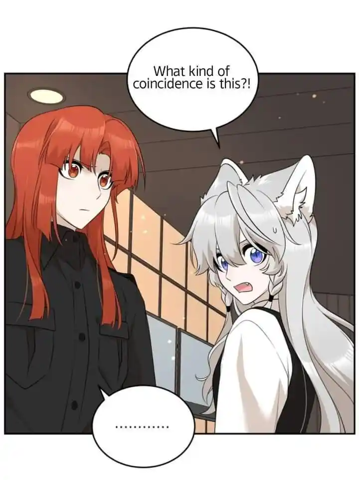 My Food Seems to Be Very Cute Ch.116