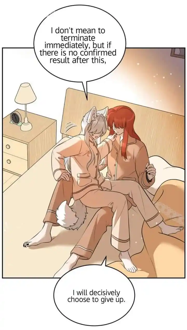 My Food Seems to Be Very Cute Ch.117