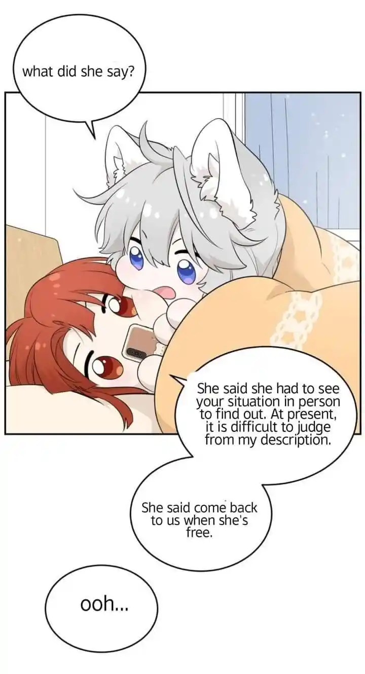 My Food Seems to Be Very Cute Ch.118